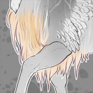 Long Chest Fluff