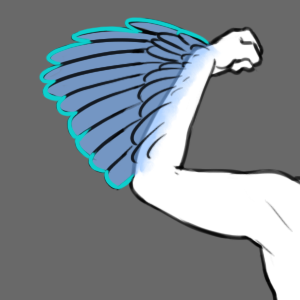 Arm Wings (Forearm Primary)