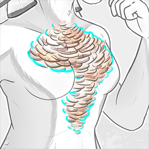 Chest/Pectoral Feathers